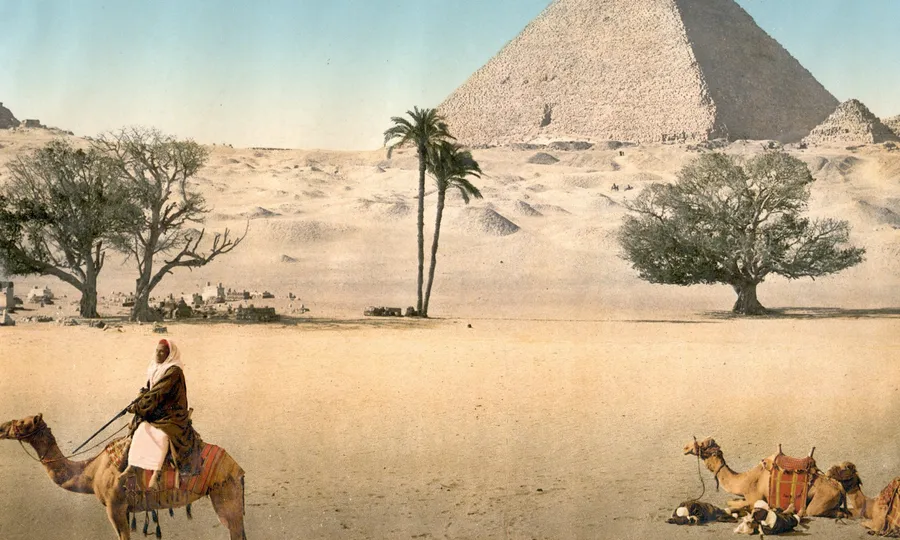 Wholesale suppliers and manufacturing in Egypt